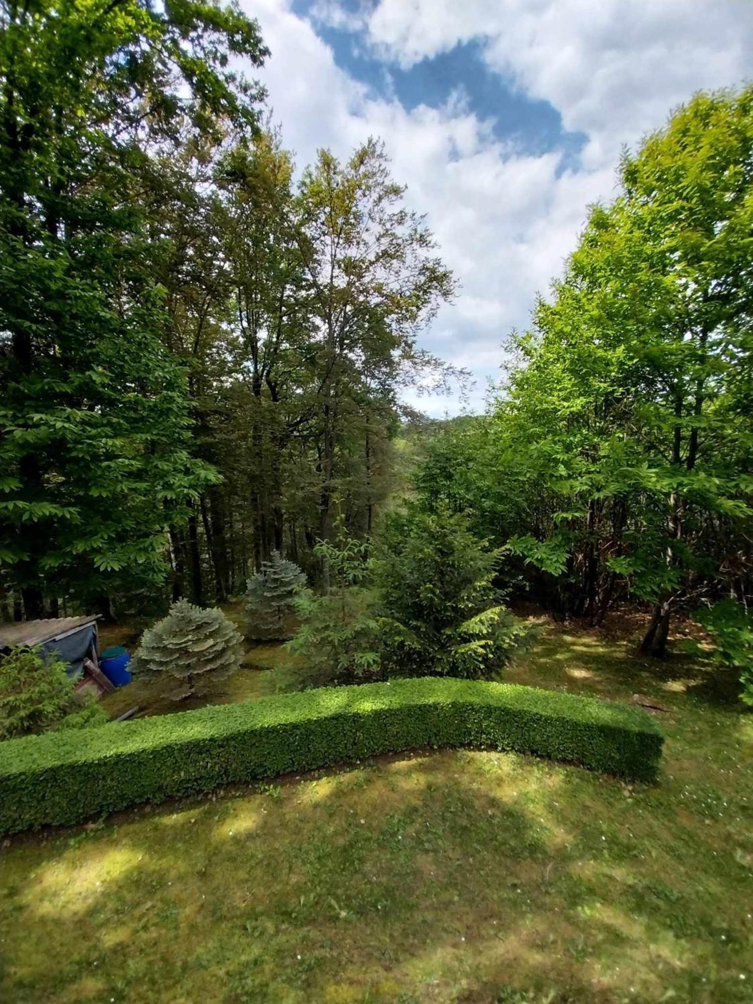 Forest World Bregana Extérieur photo